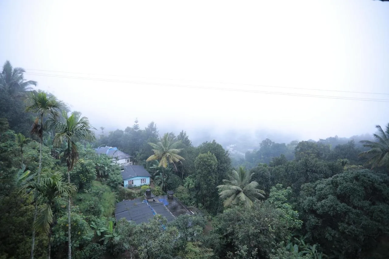 Hotel Green Valley Vista Munnar 2*,